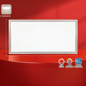 NVC | Full Spectrum LED Panel Light 300x600mm