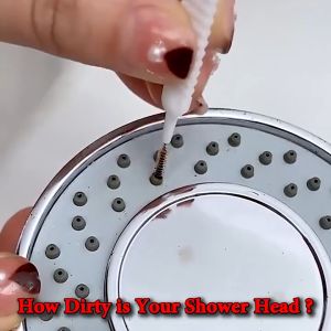 Berus Kecil Pembersih Kepala Pancuran 10pcs Shower Head Cleaning Brush Washing Anti-clogging Cleaning Brush 缝隙清洁刷