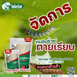 บาซิลลัส ทูริงเยนซิส BT กำจัดหนอน ป้องกันหนอน ฆ่าหนอน คุมไข่ ยั้บยั้งการลอกคราบของหนอน หนอนไม่ดื้อยา หนอนทุกชนิดตาย บาซีเร็กซ์