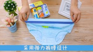 Korean Style Underwear Boy 100% cotton Underwear Kids Fashion 5-pieces per box seluar dalam budak lelaki 男童纯棉内裤 C016