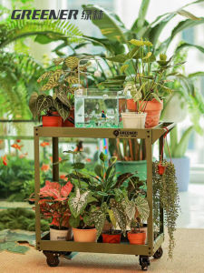 Green Forest Small Cart Flower Stand Iron Art Floor-Mounted Living Room Balcony Multi-layer Succulent Plant Rack Multi-purpose