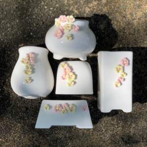 Bộ 5 chậu trồng cây sen đá/xương rồng nhập Trung tông trắng hoa xinh