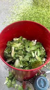 Máy băm raucủ quả làm thức ăn chăn nuôi bằng nhiều lưỡi dao nhỏ