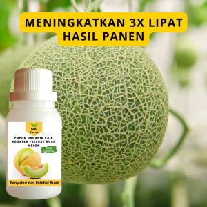 Pupuk Melon Cepat Berbuah / Pupuk Pelebat Buah Melon / Pupuk Booster Melon Cair