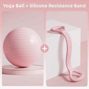 DIWONOR | Antiburst Family Sensory Training Balance Birthing Ball
