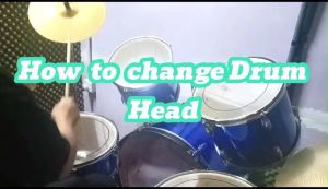 (KD) Professional 12" 13" 14" 16" 22" PET Drum Head