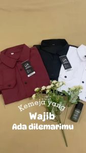 (BISA COD) PROMO Kemeja Pria Polos Lengan Panjang / Kemeja Kantor Slimfit Bonus Kaos Kaki dan Sisir