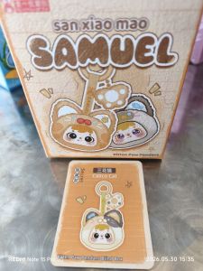 (Pembayaran yang ditetapkan)Samuel Blind Box 12 siri 14 Hidden Items model untuk dipilih