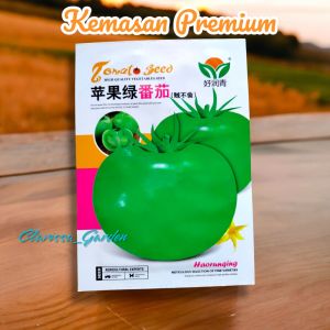 (KEMASAN PREMIUM) BIJI/BENIH TOMAT HIJAU JUMBO BESAR