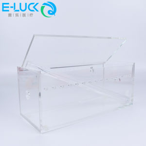 1 box Dental Orthodontic Power Chain Placer Organizer Elastic Ligature Tie Storage Box Dispenser Placing Box Dentist Tool