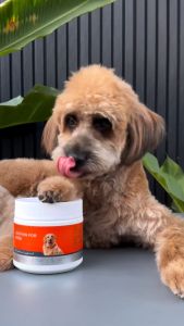 PUAINTA 300g Lecithin untuk anjing Anti-Rambut Rontok Produk Perawatan Kesehatan Folikel Rambut Bergizi Lecithin Butiran