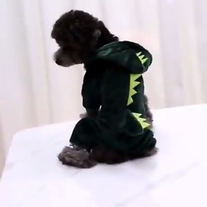 เสื้อผ้าสัตว์เลี้ยงเสื้อกันหนาวขนแกะมีฮู้ดสําหรับสัตว์เลี้ยงสูงสุด-สูงสุด XS-XXL #A042