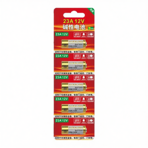 SHIKEXIN | Universal Control Device Battery 27A 12V
