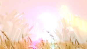 ปัญหากรดไหลย้อน  ผลิตภัณฑ์เสริมอาหารเนเจอร์ไรซ์ นวัตกรรมใหม่ดูแลลำไส้ได้ดีกว่าเดิมลดอาการอึดอัด แน่น จุกเสียด  1 กระปุก 50 แคปซูล