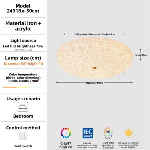 FANCY LAMP CLUB | Eye-Care Crystal Full Spectrum Modern Luxury Ceiling Light