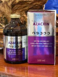 AZACXIN 100ml Thuốc tiêm trị hô hấp mãn tính viêm phổi khò khè hen khẹc gà đá gà chọi heo bò