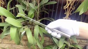 Dao thái Nhật nguyên khối dài 30cm dày 2mm không rỉ rất sắc bén