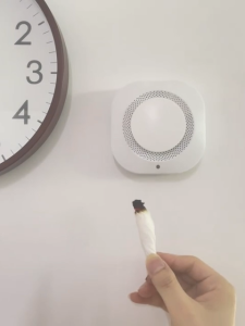 PGST Portable Independent Smoke Detector Fire Alarm Photoelectric Sensitive Sensor Alarm For Family