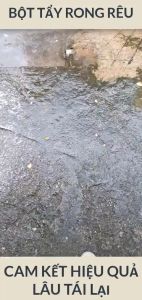 Bột Tẩy Rong Rêu Tẩy Rong Rêu Sân Xi Măng Nền Gạch Chống Trơn Trượt Sạch Sẽ