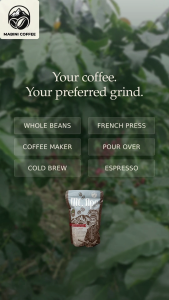 1kg Mt. Apo Premium Arabica Coffee Beans – No Sugar | Natural | Chemical Free | Mabini Coffee