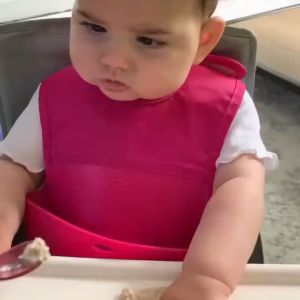 ARKs Smooth Maroon Spoon Special Feeding