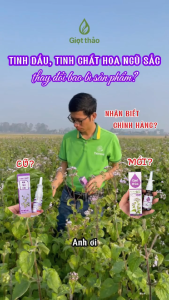 Xịt Xoang Mũi Lê Minh AnhXịt Mũi Giọt Thảo-Chiết Xuất Hoa Ngũ Sắc Chưng Cất Thủ Công Giúp Cải Thiện Tình Trạng Xoang Mũi 20 ml