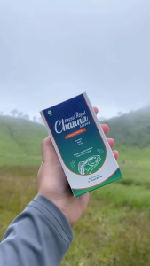 Royal Channa Kapsul Gabus Original: Obat Pengering Luka Pasca Operasi