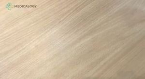 Peniti Per Set isi 12