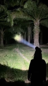 ไฟฉายเครื่องบิน M19 บังโอ้ค ราชาไฟ ไฟฉาย m77 ไฟฉายเครื่องบิน m77