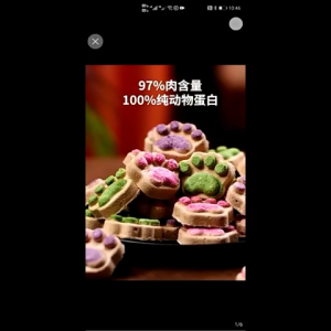 Pet Treats Snack Dog Dental Chew Dog Biscuit Air-Dried Bites Freeze-Dried Cat Treats