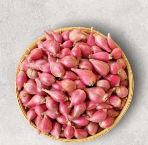 bawang merah fresh 1 kg / bawang merah asli fresh + kardus