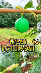 5 Green Sticky Fly Balls 80mm for Plants Trees Flying Insects Indoor & Outdoor Pest Control Sticky Fly Traps