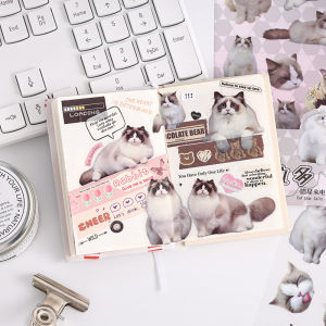 Stickers Punk | Transparent Waterproof DIY Stickers Carton Animal Decors