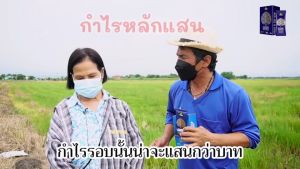 4Tree คู่เกษตร สูตรพืช สารบำรุงดิน 4Tree ของแท้ ซอง เก็บปลายทาง รสชาติ สมาชิกส่วนลด 4Tree มันสำปะหลัง โฟร์ทรี มันสำหรับ หมอน แบบเครื่องพิมพ์ โฟร์ทรีมันสำปะหลัง หมอน แบบเครื่องพิมพ์ อะมิโน อะมิโนอะมิโนพืช อะมิโนสูตรพืช อะมิโนสำหรับพืช สูตรอิออน สารบำรุงดิน อ