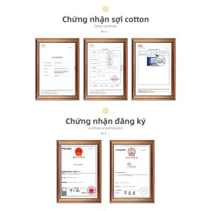 Bộ Đồ Thêu Chữ Thập Sunny Sea View Bản Gốc R Yarn Tự Phối CT Cao Bộ Đồ Thêu Chữ Thập DIY Từ Trung Quốc Đại Lục