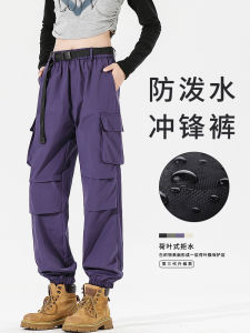 Outdoor Climbing Windproof Waterproof American Style Workwear Pants Casual Trousers for Men And Women Autumn Winter New Arrival