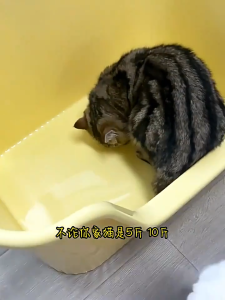 Cat Litter Box Portable Deep Loo Large Space Bedpan Open Top Pet Litter Tray