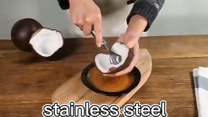 Kerokan Kelapa Muda Coconut Shaver Pembersih Sisik Ikan Stainless Coconut Peeler serutan kelapa