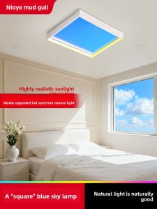 NIOYE | Natural Light Full Spectrum Ceiling Light