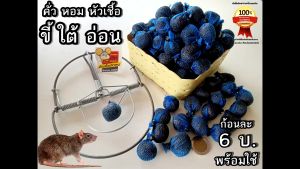 ดักหนู ขี้ใต้ พร้อม คั่ว หอม 1-10ก้อน ปั้น ห่อ เนื้อ ขี้ใต้ดี ล่อหนูนา