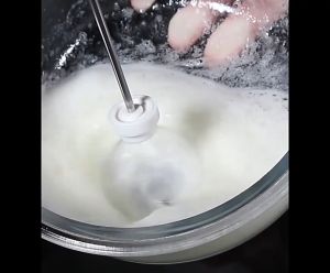 Electric Hand Blender Tangan Pengaduk Kopi Milk Frother USB Portable Handheld Mixer