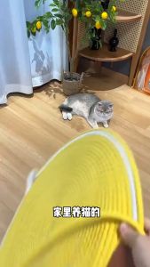 Cotton Rope Cat Scratcher Mat Breathable Pet Sleeping Mat Durable Cat Scratching Pads Kitten Grinding Nail Toys Pet Supplies