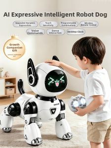 BEI JESS | Intelligence Development Toy for Girls Over 8