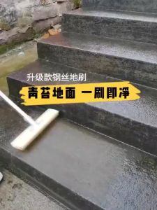 Stainless Steel Wire Brush Long Handle Wire Brush Floor Washing Brush Long Floor Pool Plate Hard Brush Iron Brush Stiff Bristle Brush for Garage Patio Garden Moss