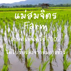 ข้าวแม่สมจิตรออร์แกนิค 500 กรัม+กระเป๋าผ้า 6X8 นิ้วสกรีนตามต้องการ