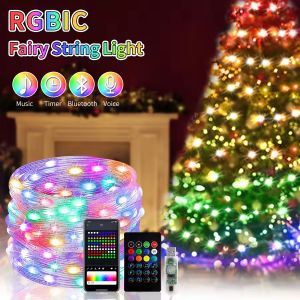 2-30m Smart Light String RGB Led Strip Bluetooth DIY Dreamcolor Fairy Light Christmas Tree Light Waterproof Party Room Decor