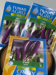 Benih Terong Ungu Anila 10 gram Tunas Agro dataran rendah menengah tinggi bibit biji unggul sayur lodeh hydroponik hidroponik