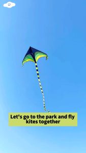 Long tail rainbow kite with kite string 50m Outdoor beach garden sport Kite flying toy Game