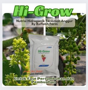 Hi Grow Nutrisi Anggur Untuk Pertumbuhan dan Pembuahan by Raffatih Farm