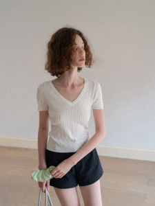 Summer Thin Short Sleeve Knit Top